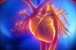 Cardiology Software Could Change Healthcare